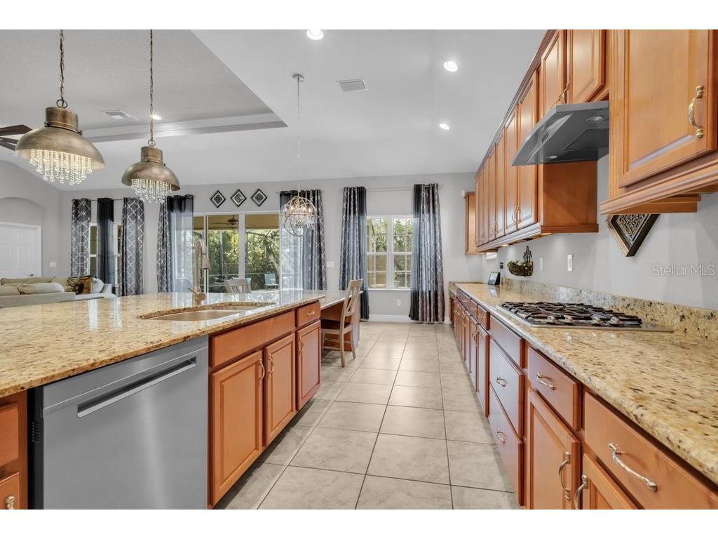 15409 Starling Crossing Drive Lithia FL 33547 TB8502470 image16