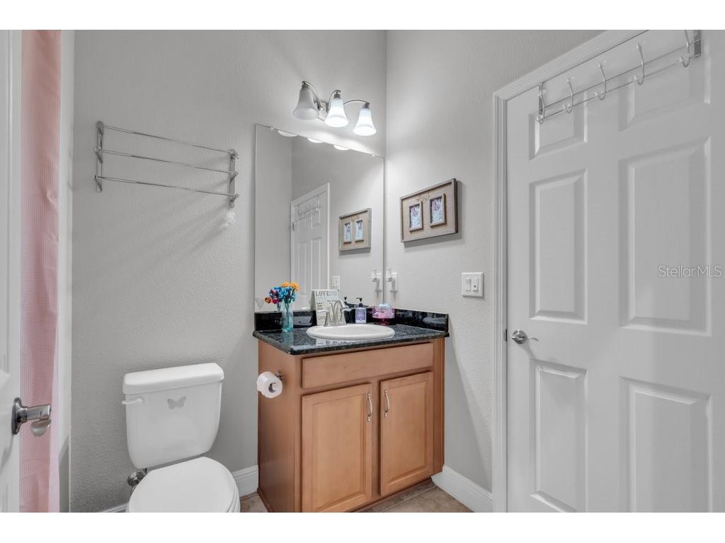 15409 Starling Crossing Drive Lithia FL 33547 TB8502470 image21