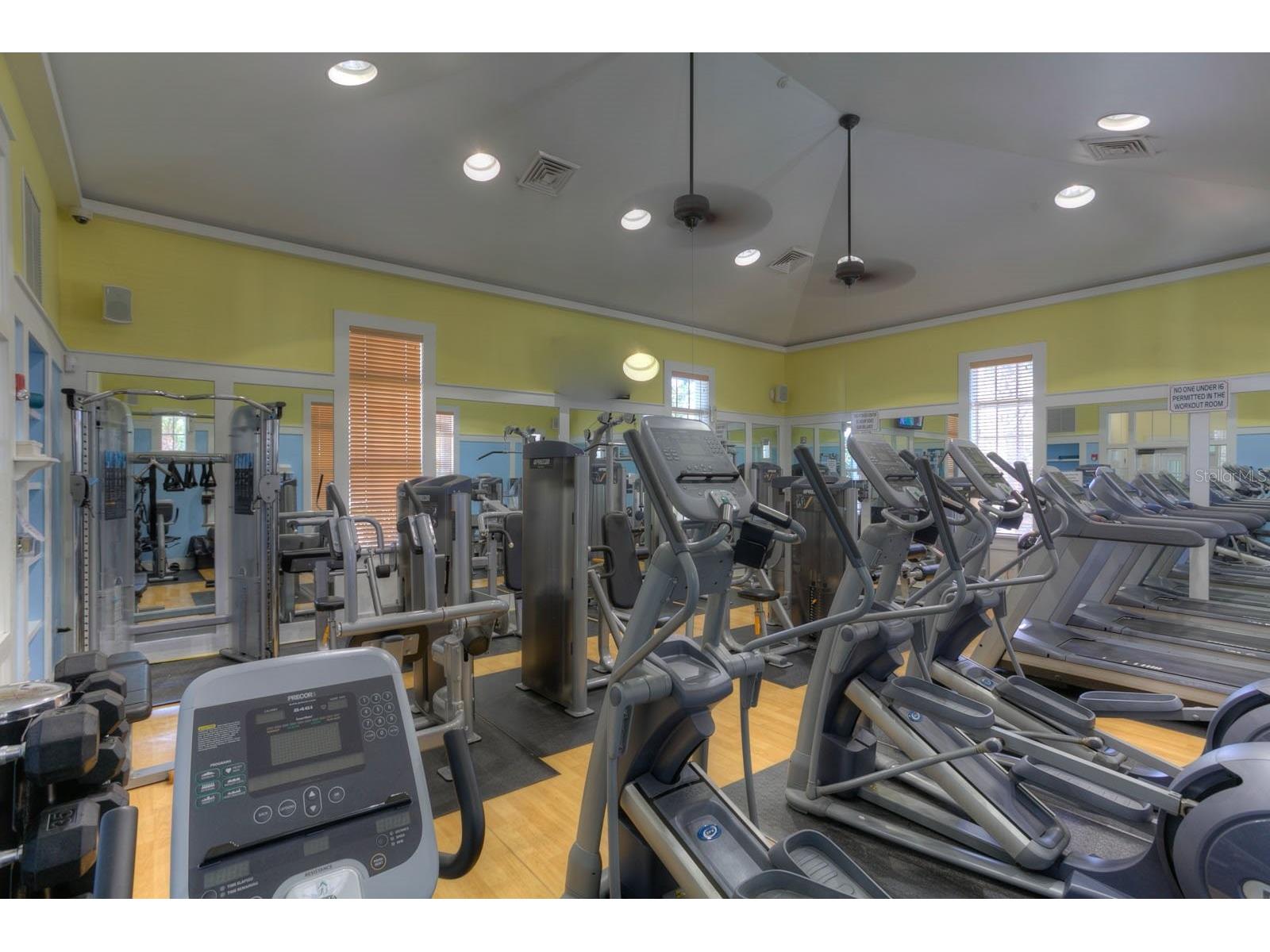 15409 Starling Crossing Drive Lithia FL 33547 TB8502470 image35