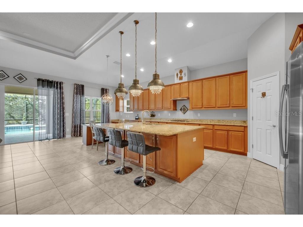 15409 Starling Crossing Drive Lithia FL 33547 TB8502470 image6