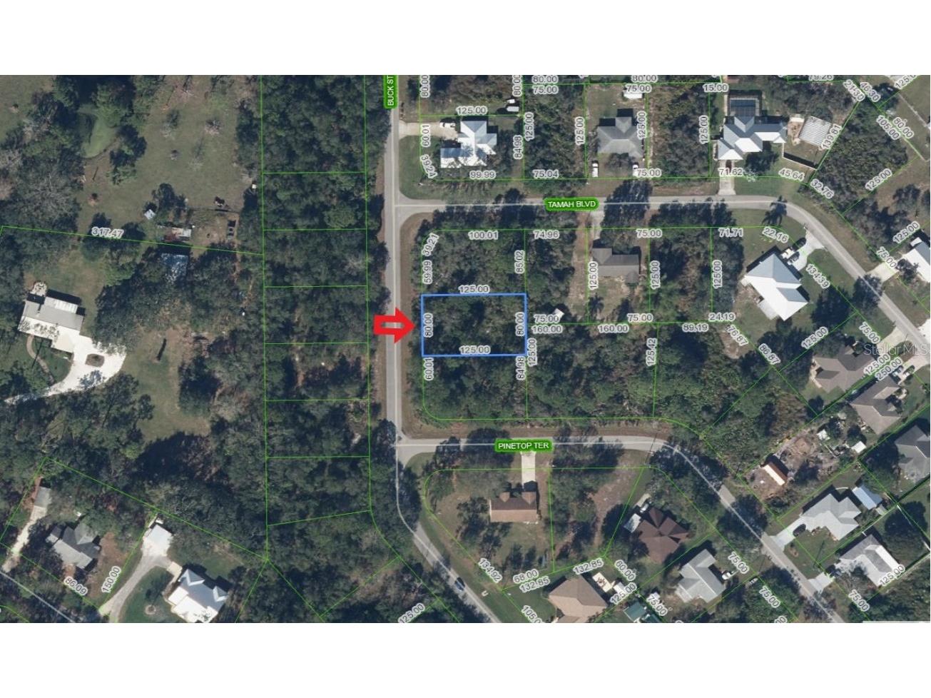 1541 Buck Street Lake Placid FL 33852 A4666776 image1