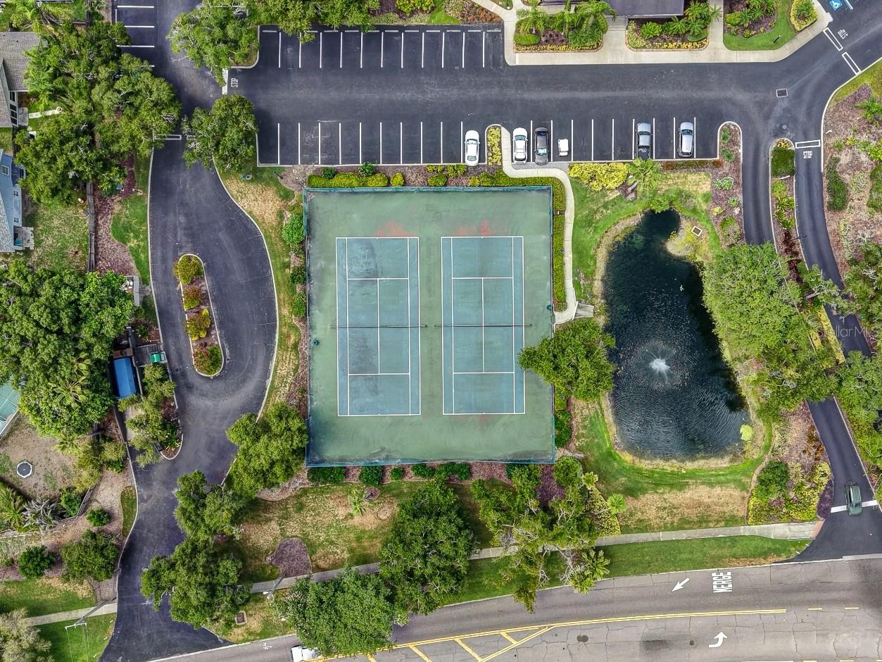1541 Chepacket Street Brandon FL 33511 TB8518941 image36