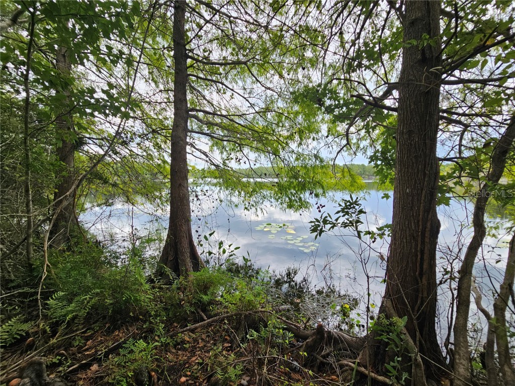 1541 Handleman Drive Oviedo FL 32765 - LAKE CYPRESS O6033899 image1