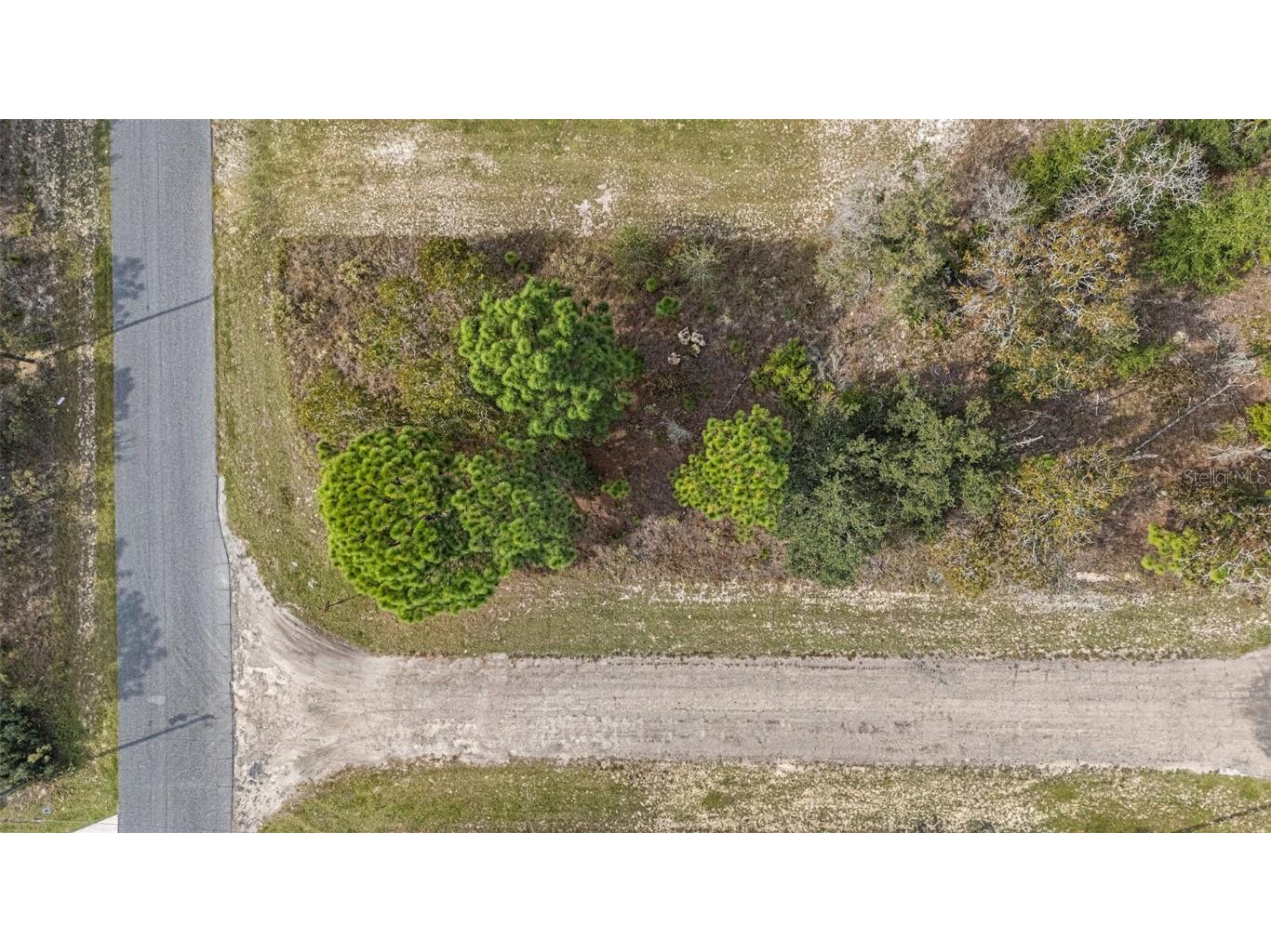1541 W Riley Drive Dunnellon FL 34434 TB8443584 image10
