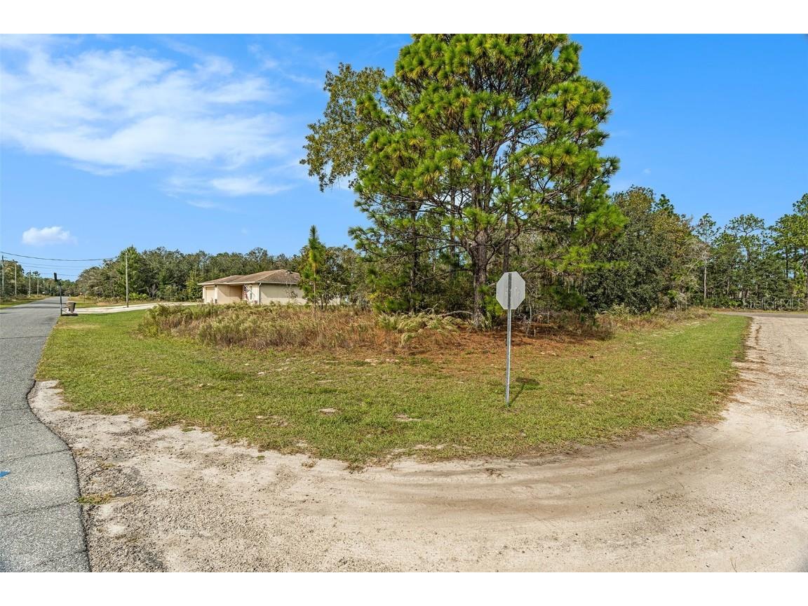 1541 W Riley Drive Dunnellon FL 34434 TB8443584 image13