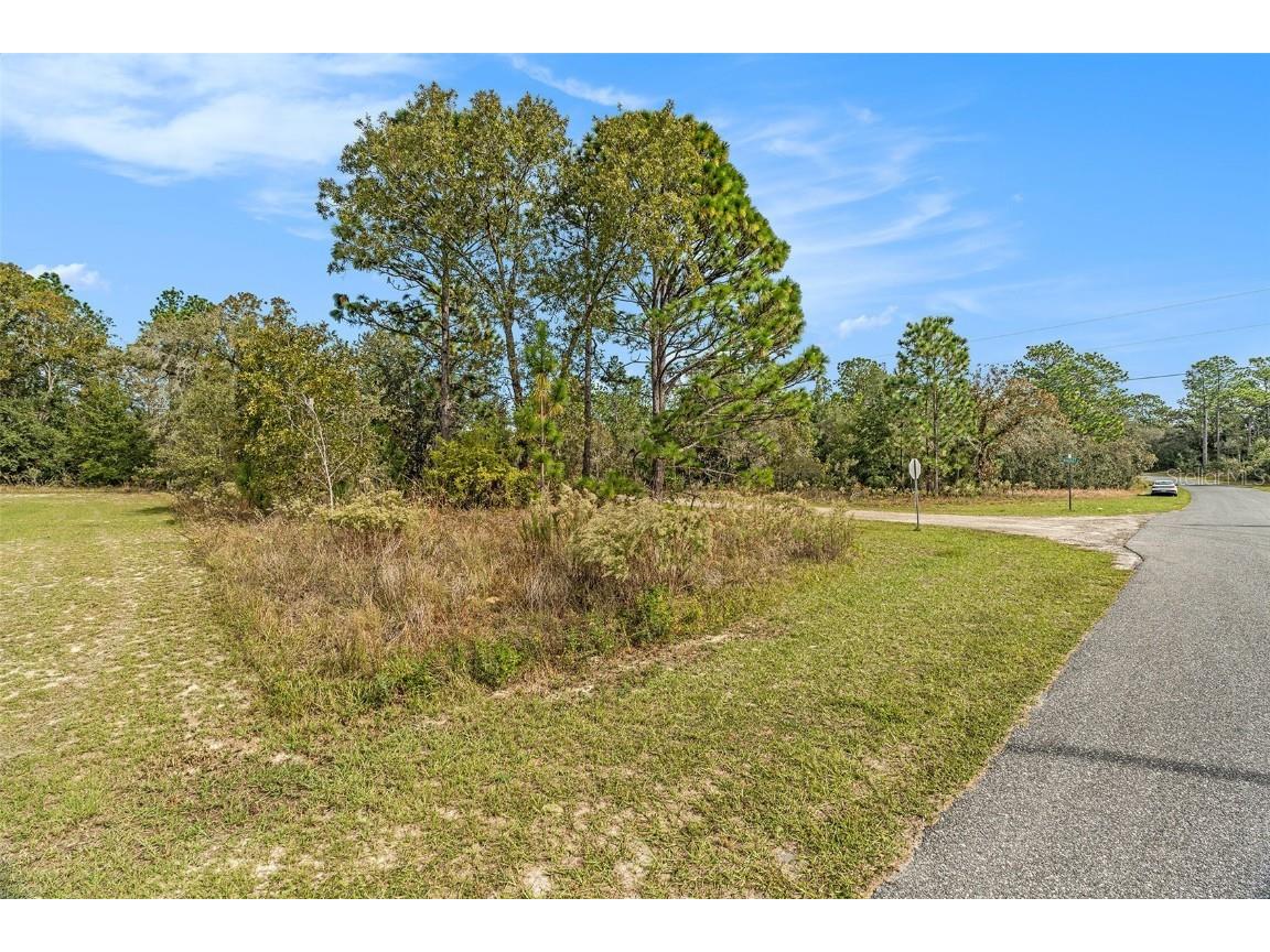 1541 W Riley Drive Dunnellon FL 34434 TB8443584 image5