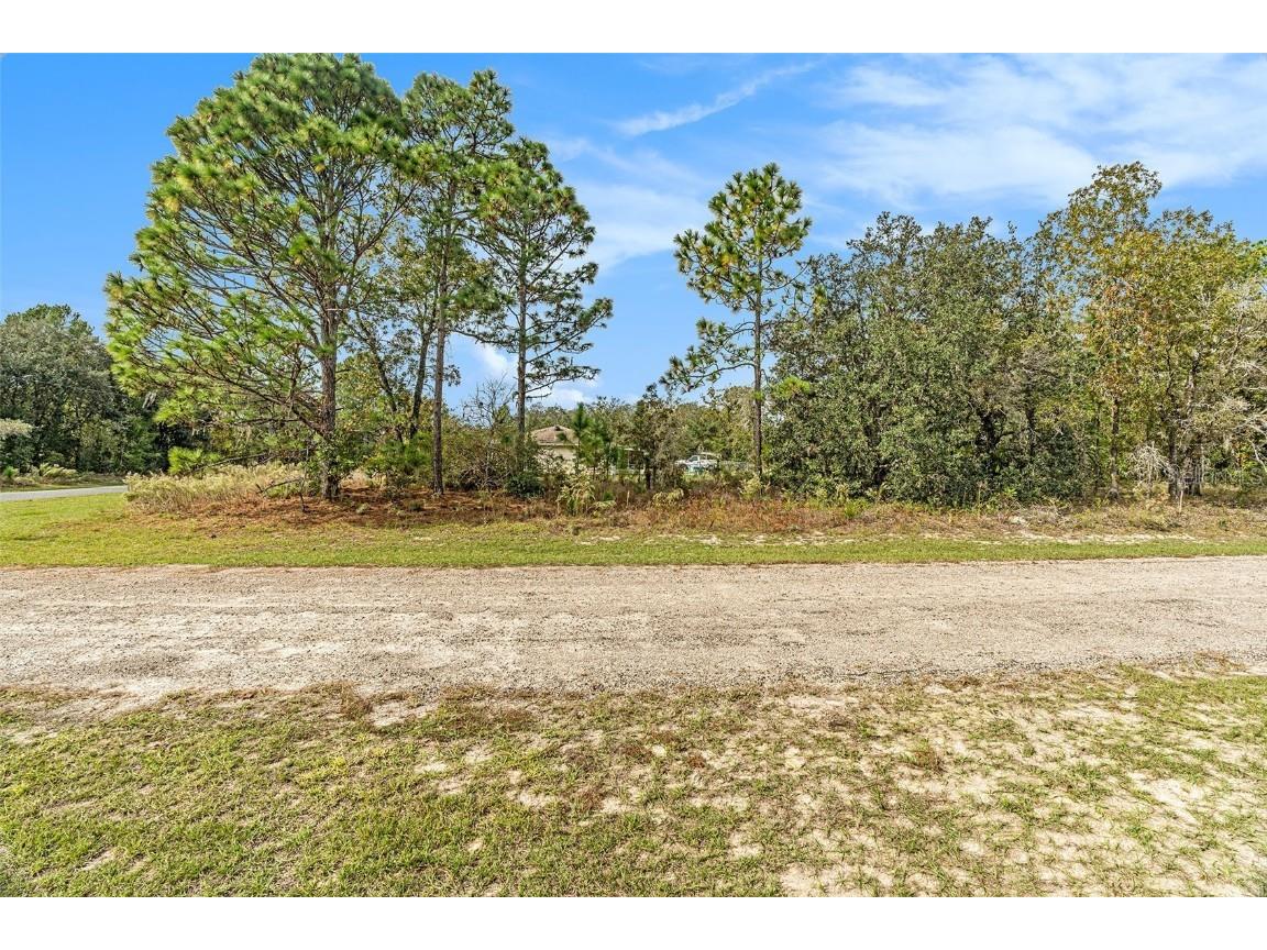 1541 W Riley Drive Dunnellon FL 34434 TB8443584 image8
