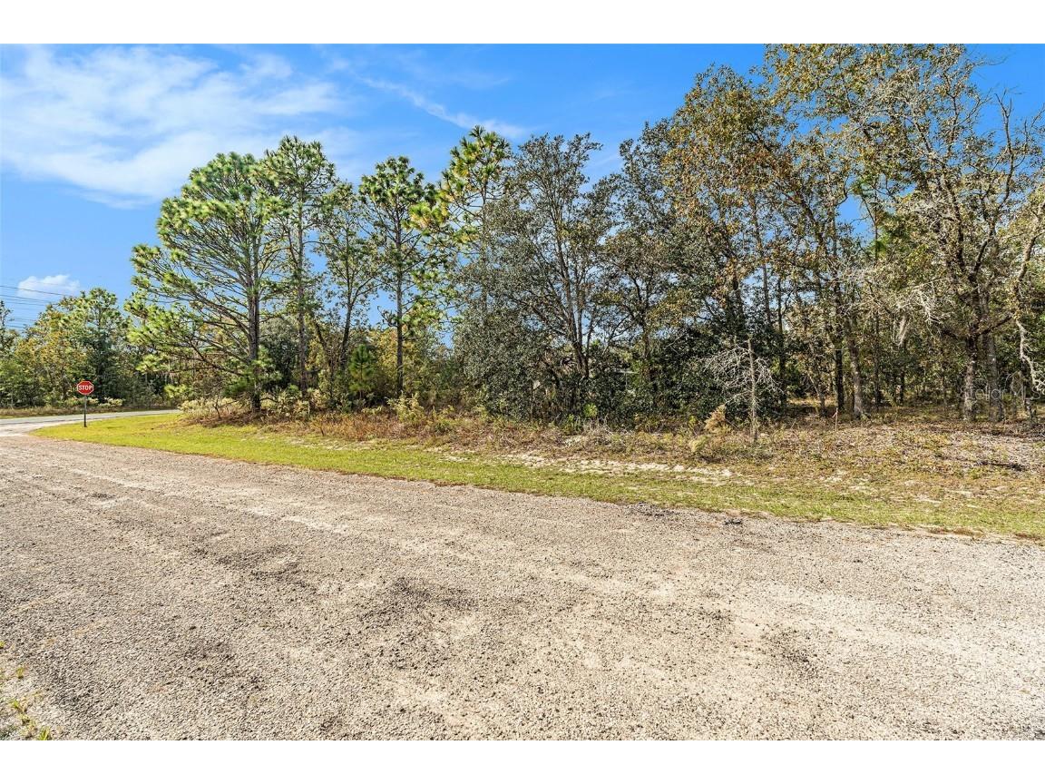 1541 W Riley Drive Dunnellon FL 34434 TB8443584 image9