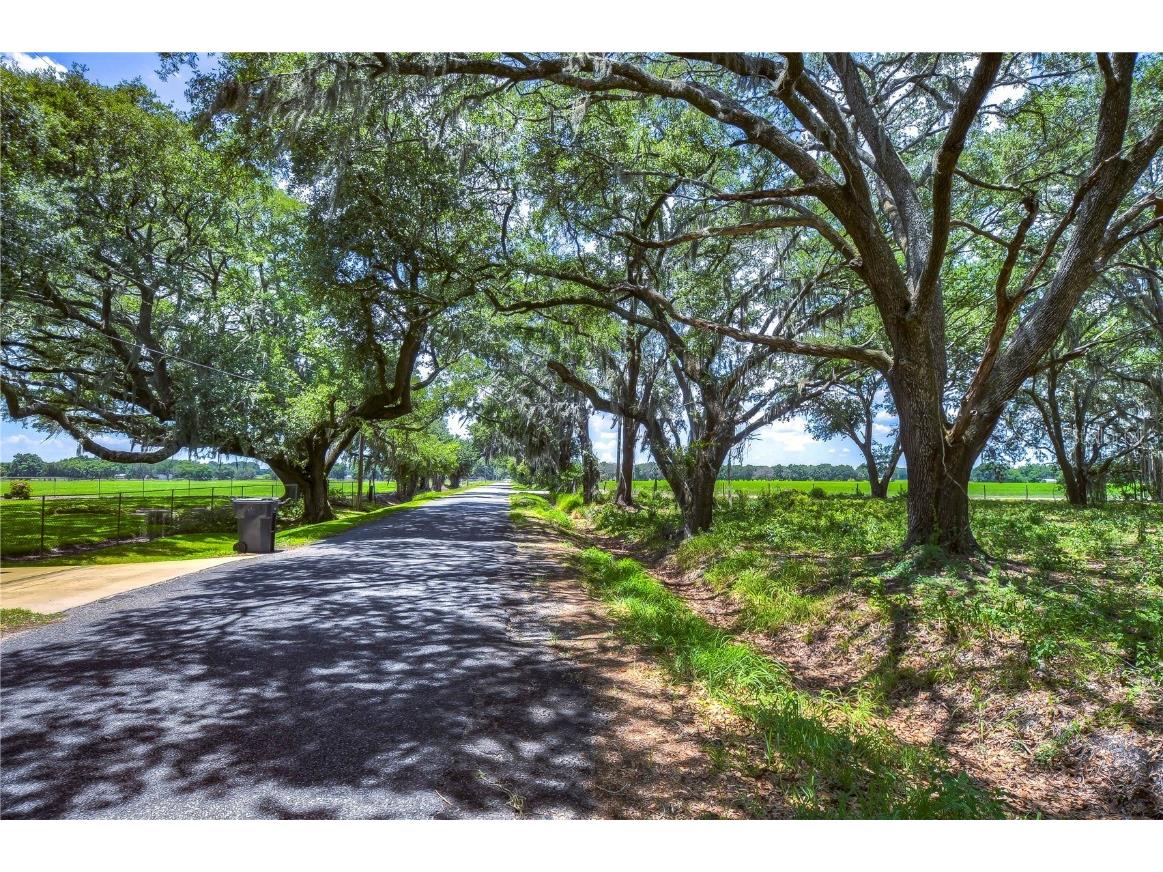 15410 Caruthers Road Dover FL 33527 T3528079 image1