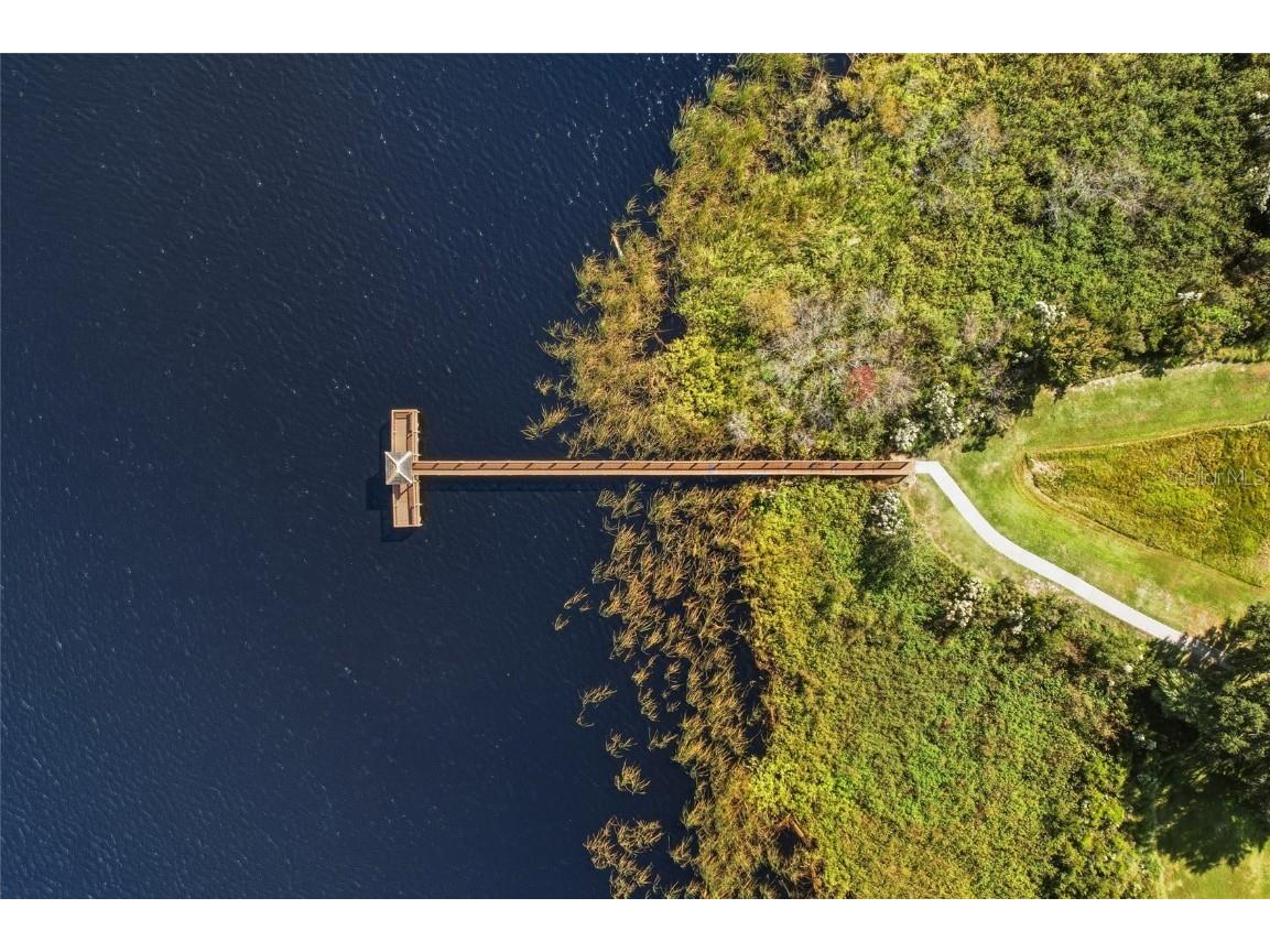 15412 Amberbeam Boulevard Winter Garden FL 34787 O6363402 image38