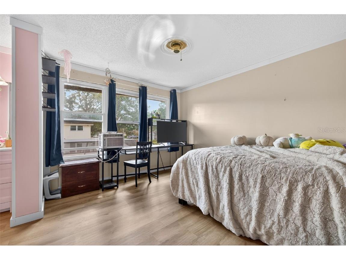 15413 Brushwood Drive Tampa FL 33624 TB8449806 image24