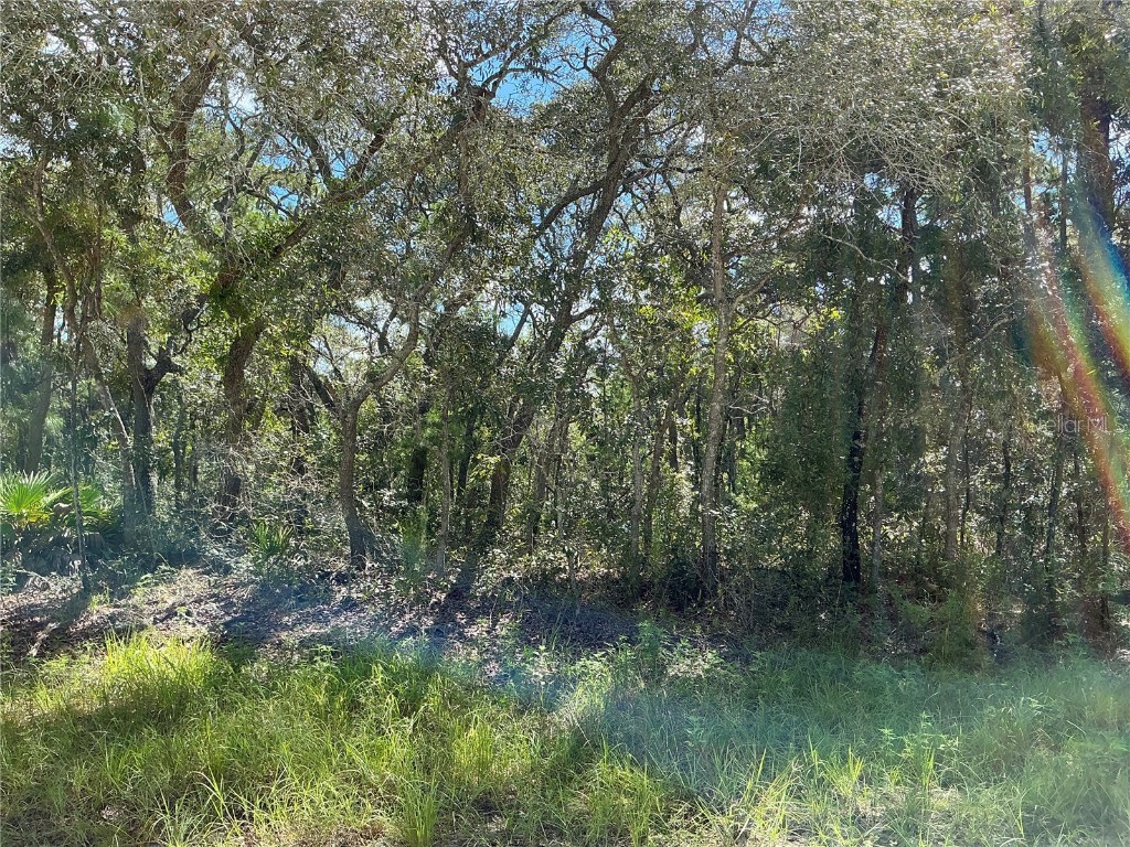 15414 Myland Road Brooksville FL 34614 OM686744 image1