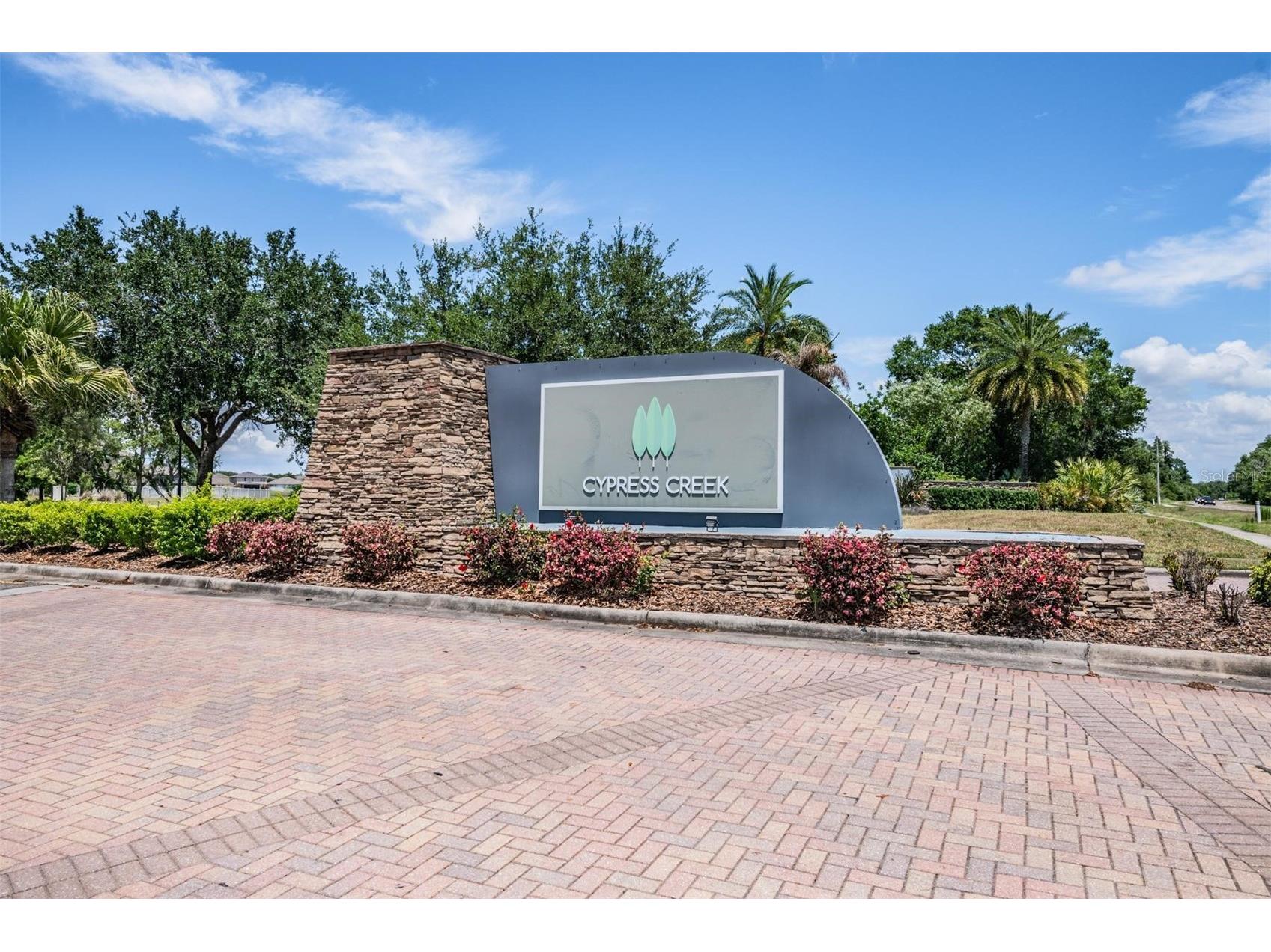 15415 Long Cypress Drive Ruskin FL 33573 TB8508718 image57