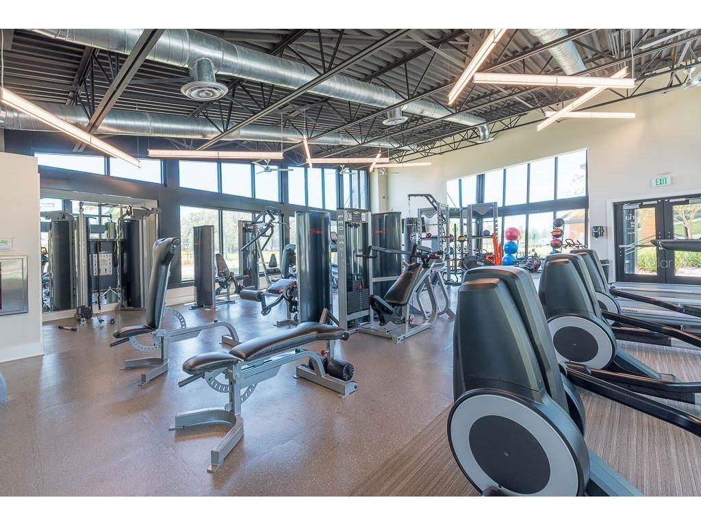 15416 Caravan Avenue Odessa FL 33556 TB8474520 image36