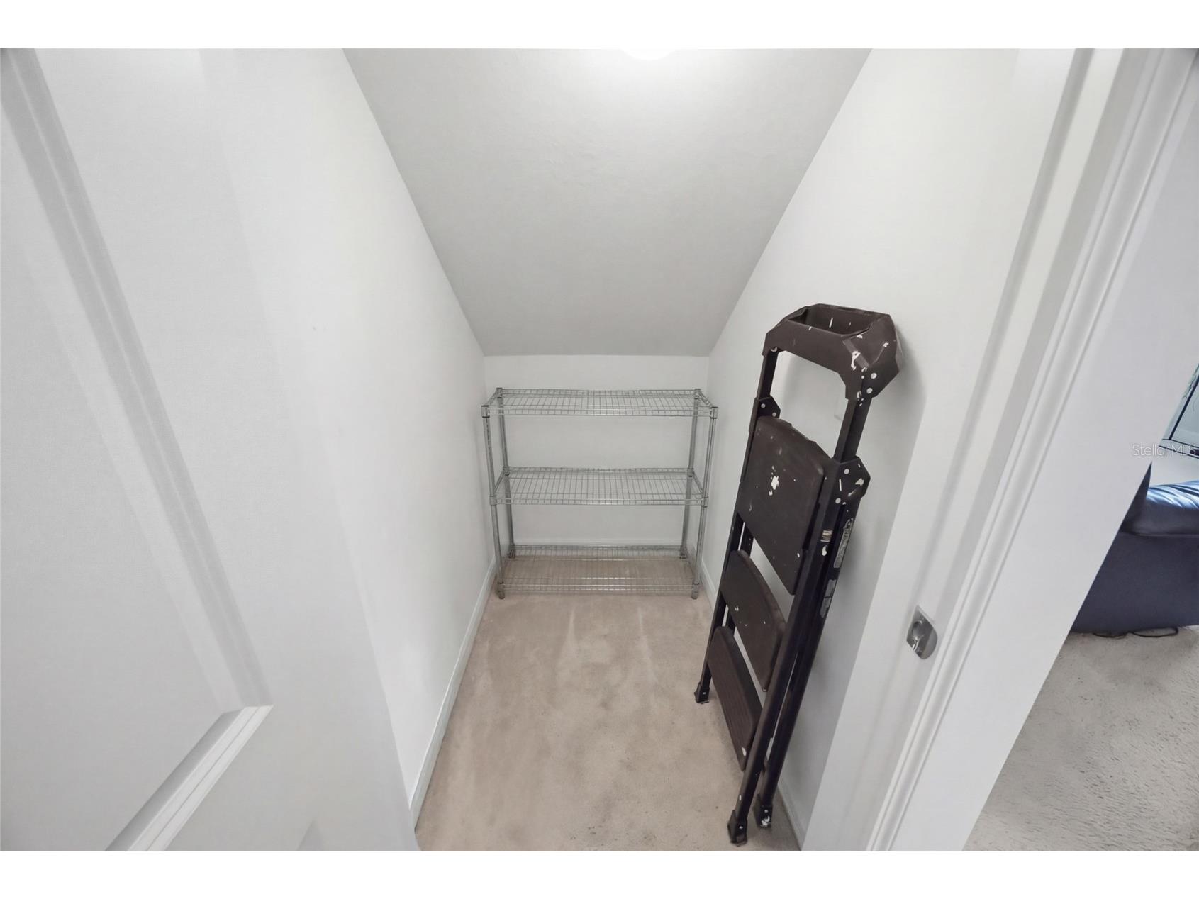 15417 Ibis Fall Place Sun City Center FL 33573 TB8493130 image19