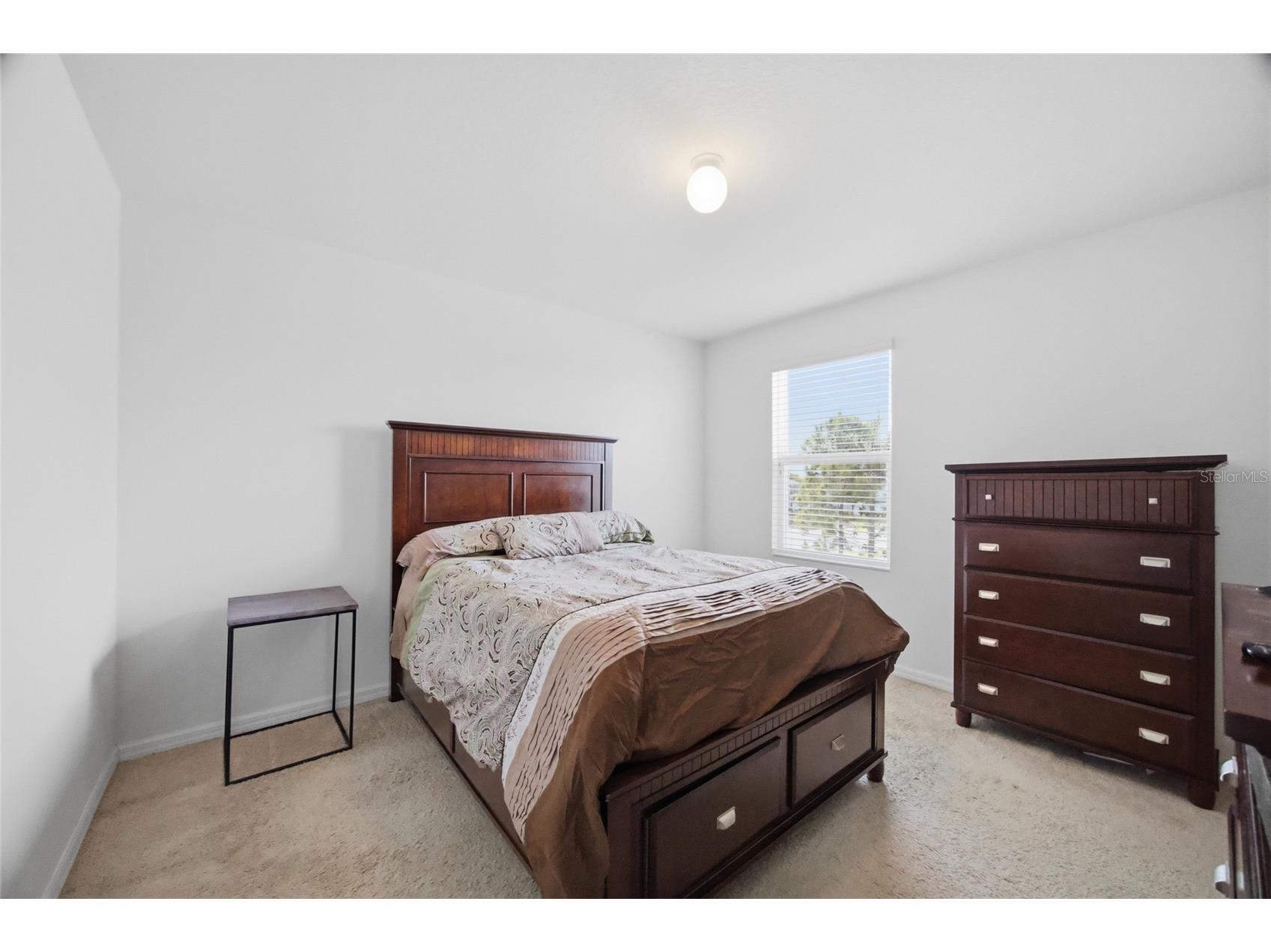 15417 Ibis Fall Place Sun City Center FL 33573 TB8493130 image26