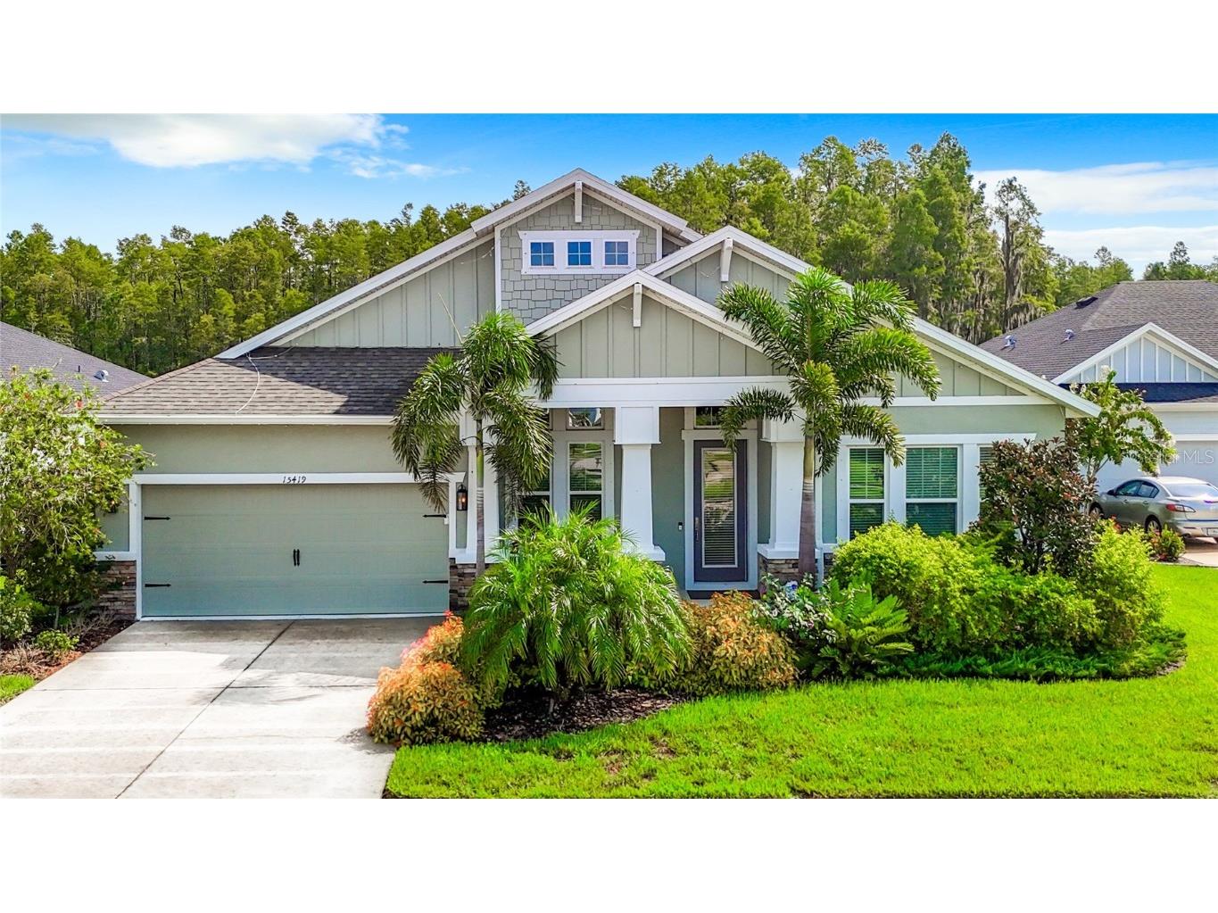 15419 Renaissance Avenue Odessa FL 33556 T3545718 image1