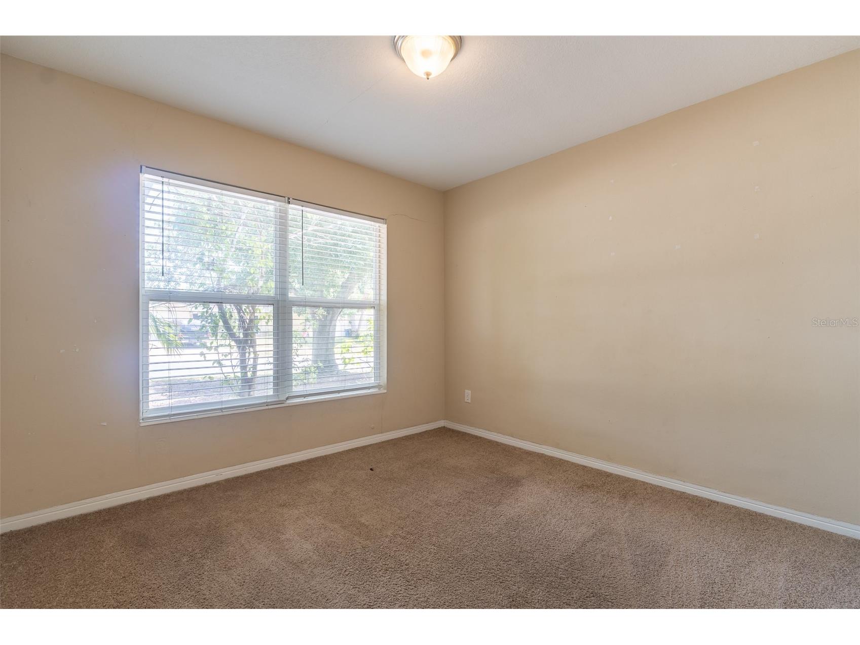 1542 Carroll Street Clearwater FL 33755 TB8507252 image10
