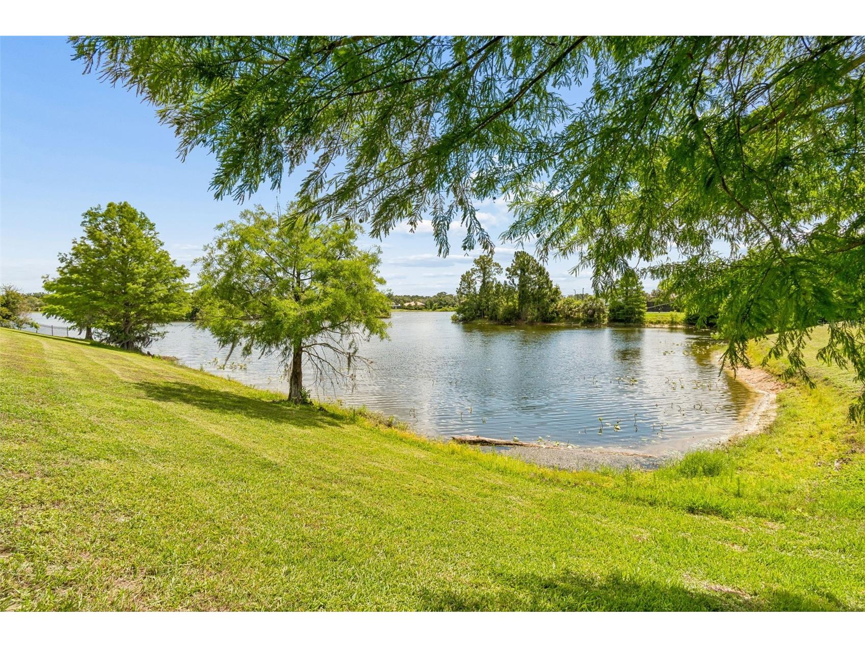 1542 Farrindon Circle #1542 Lake Mary FL 32746 O6415178 image46