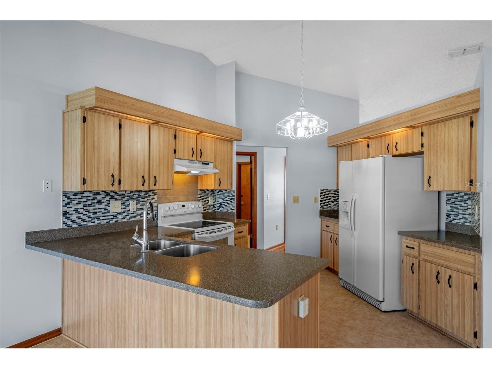 1542 Overland Drive Spring Hill FL 34608 TB8460069 image20