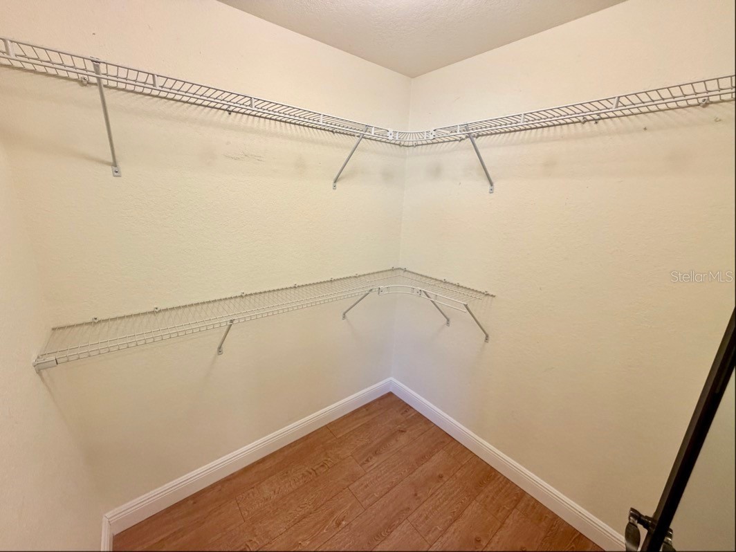 1542 Saddlehorn Drive Lakeland FL 33810 TB8508407 image25