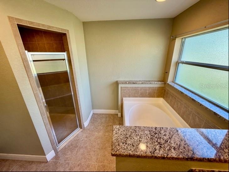 1542 Saddlehorn Drive Lakeland FL 33810 TB8508407 image26