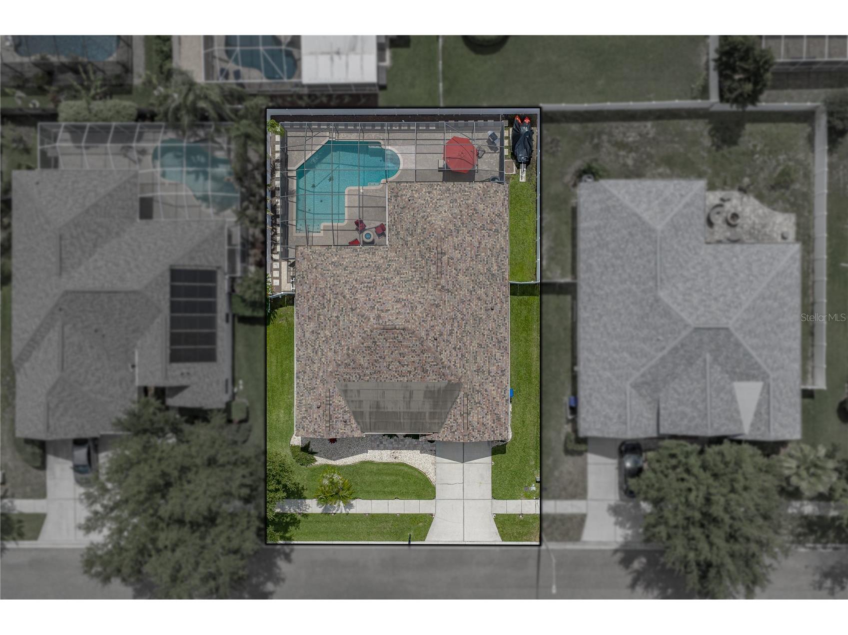 1542 Swamp Rose Lane Trinity FL 34655 TB8498271 image11