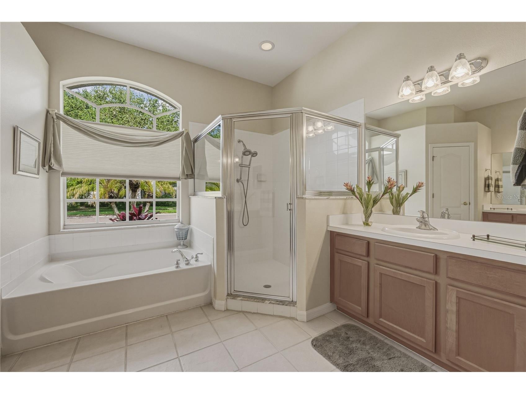 1542 Swamp Rose Lane Trinity FL 34655 TB8498271 image38
