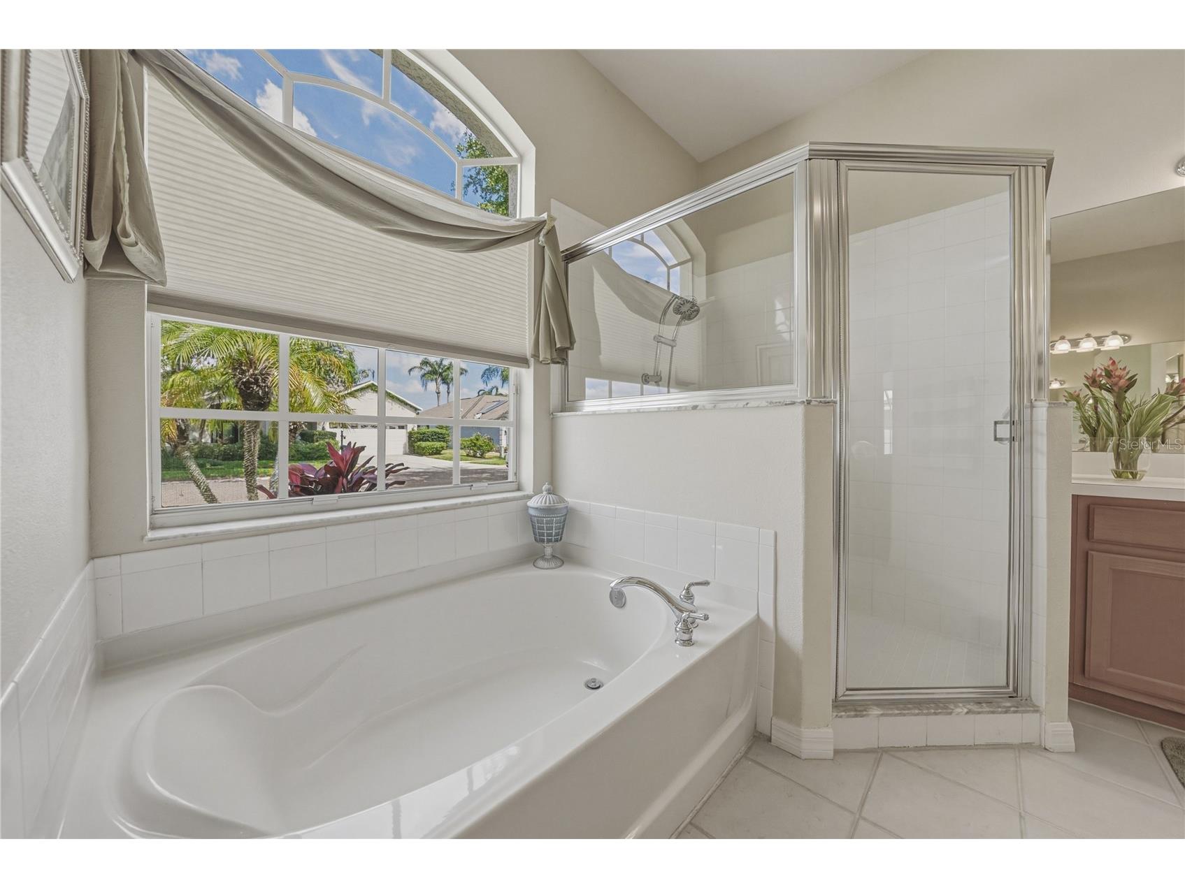 1542 Swamp Rose Lane Trinity FL 34655 TB8498271 image39