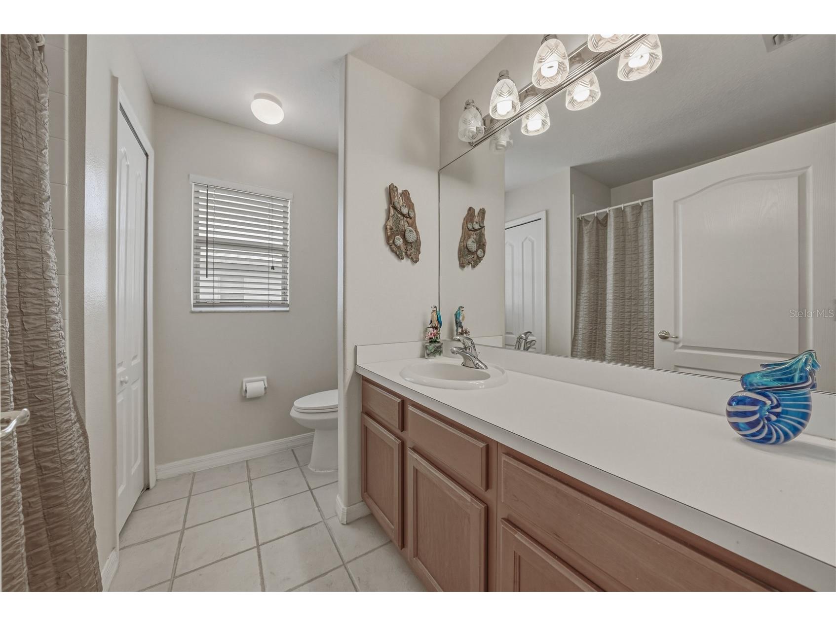 1542 Swamp Rose Lane Trinity FL 34655 TB8498271 image44