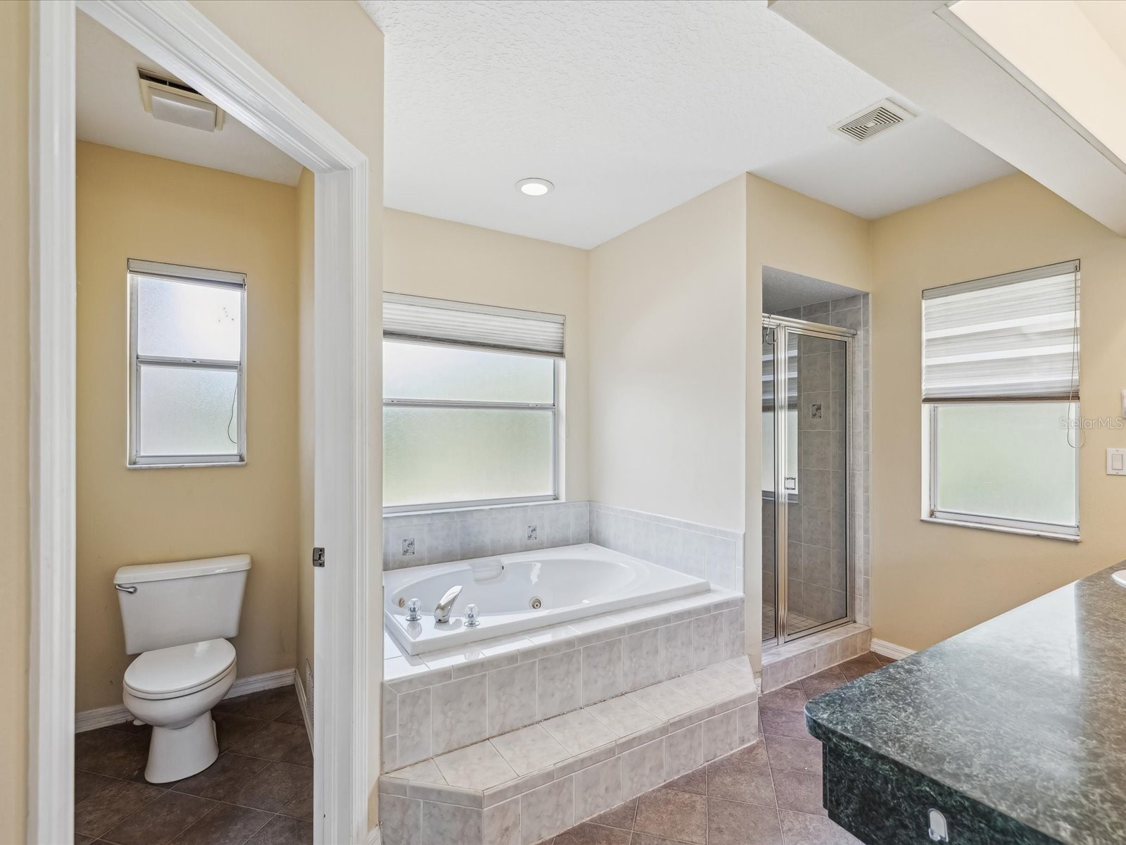 15420 Aubrey Avenue Spring Hill FL 34610 TB8476895 image13