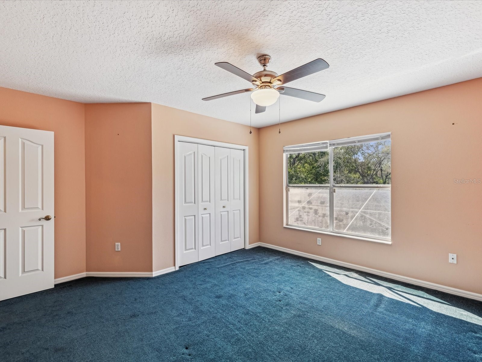 15420 Aubrey Avenue Spring Hill FL 34610 TB8476895 image16