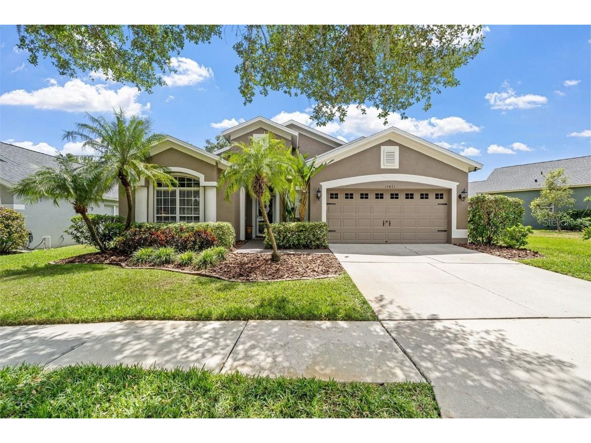 15421 Martinmeadow Drive Lithia FL 33547 T3520858 image1