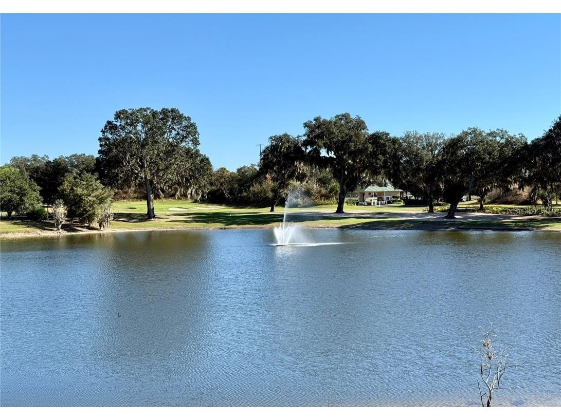 15425 SW 14th Avenue Road Ocala FL 34473 OM714920 image1