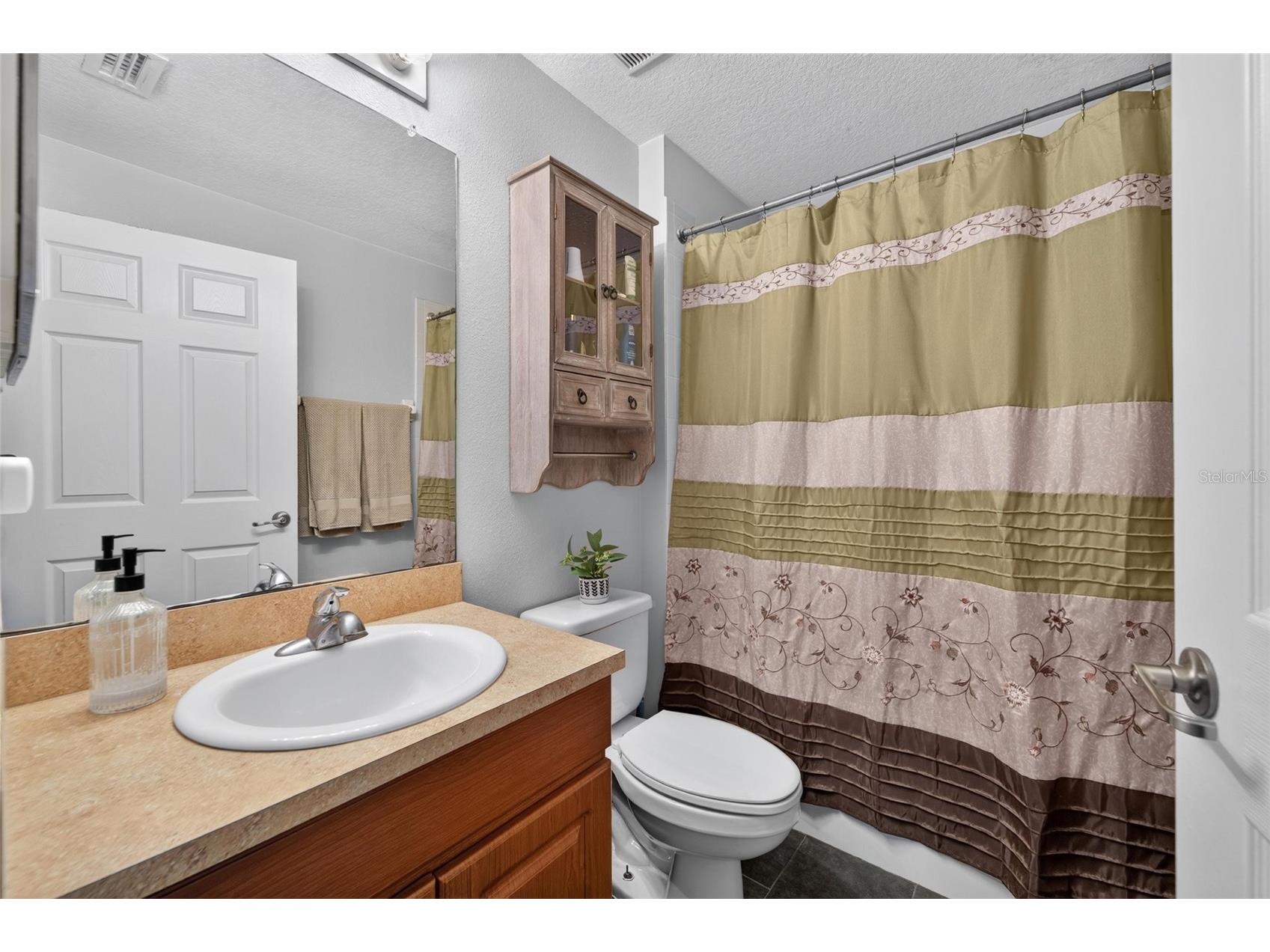 15428 Florida Breeze Loop Wimauma FL 33598 TB8523521 image23