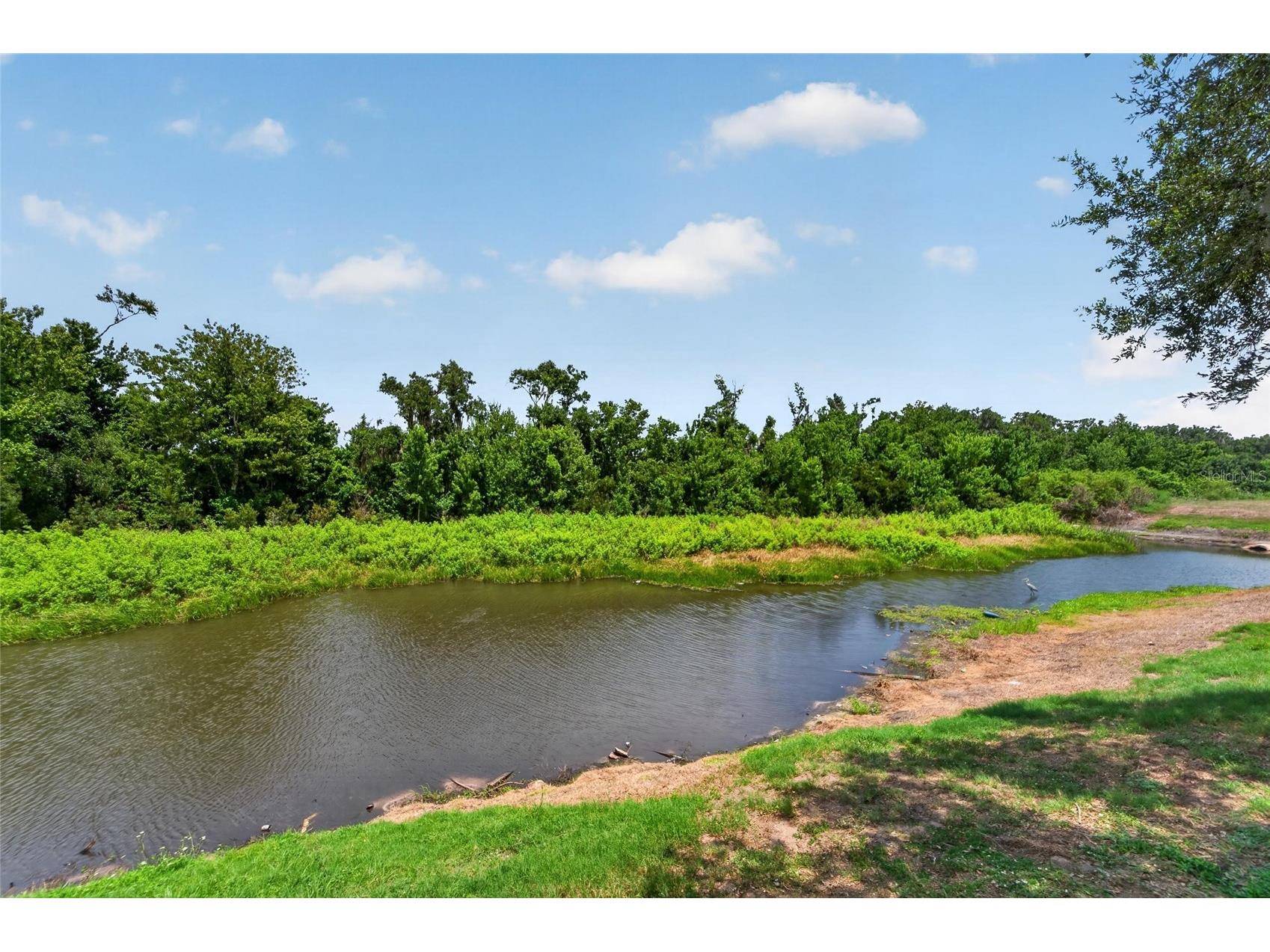 15428 Florida Breeze Loop Wimauma FL 33598 TB8523521 image46