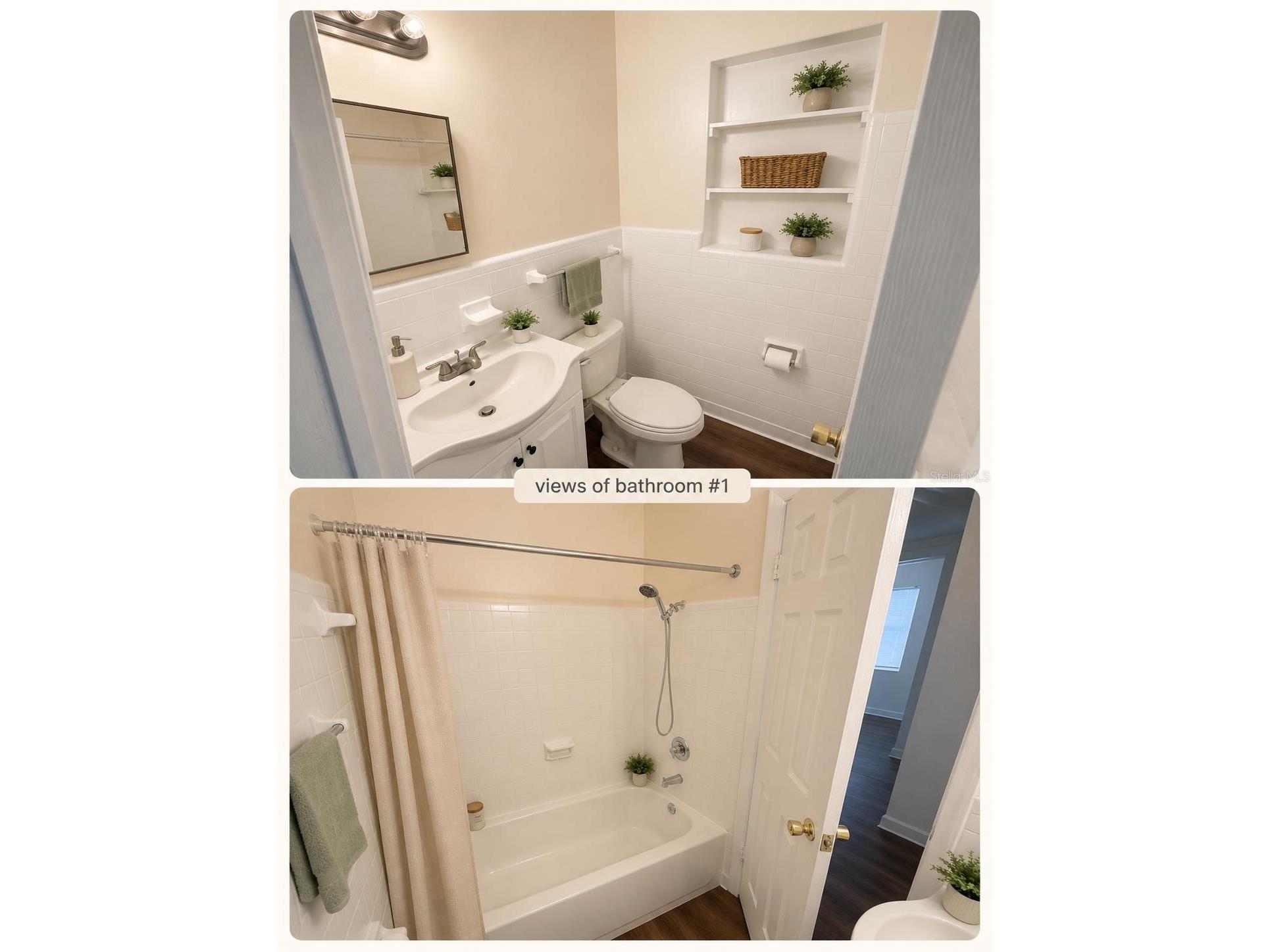 1543 43rd Street S Saint Petersburg FL 33711 TB8509326 image5