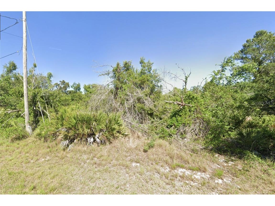 1543 Meadowbrook Street Lake Placid FL 33852 TB8318042 image1