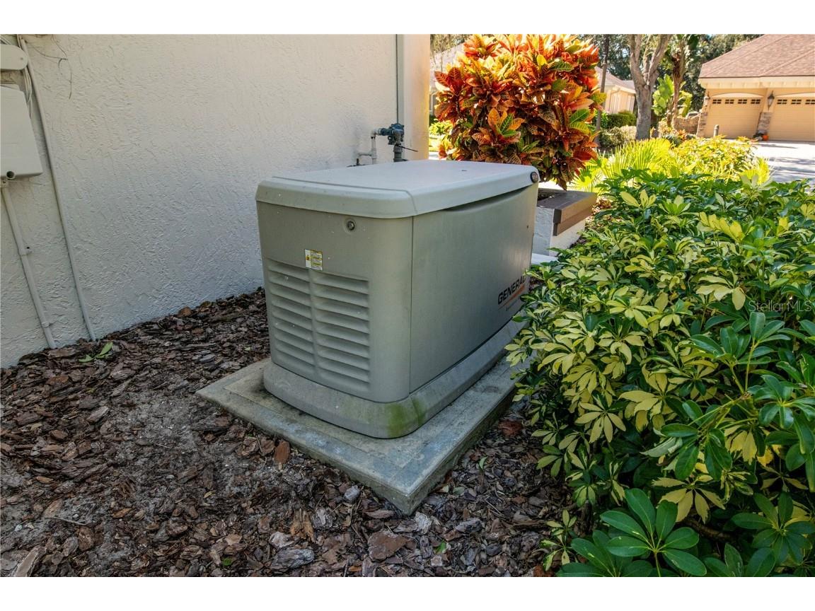 1543 Parilla Circle New Port Richey FL 34655 TB8439661 image42