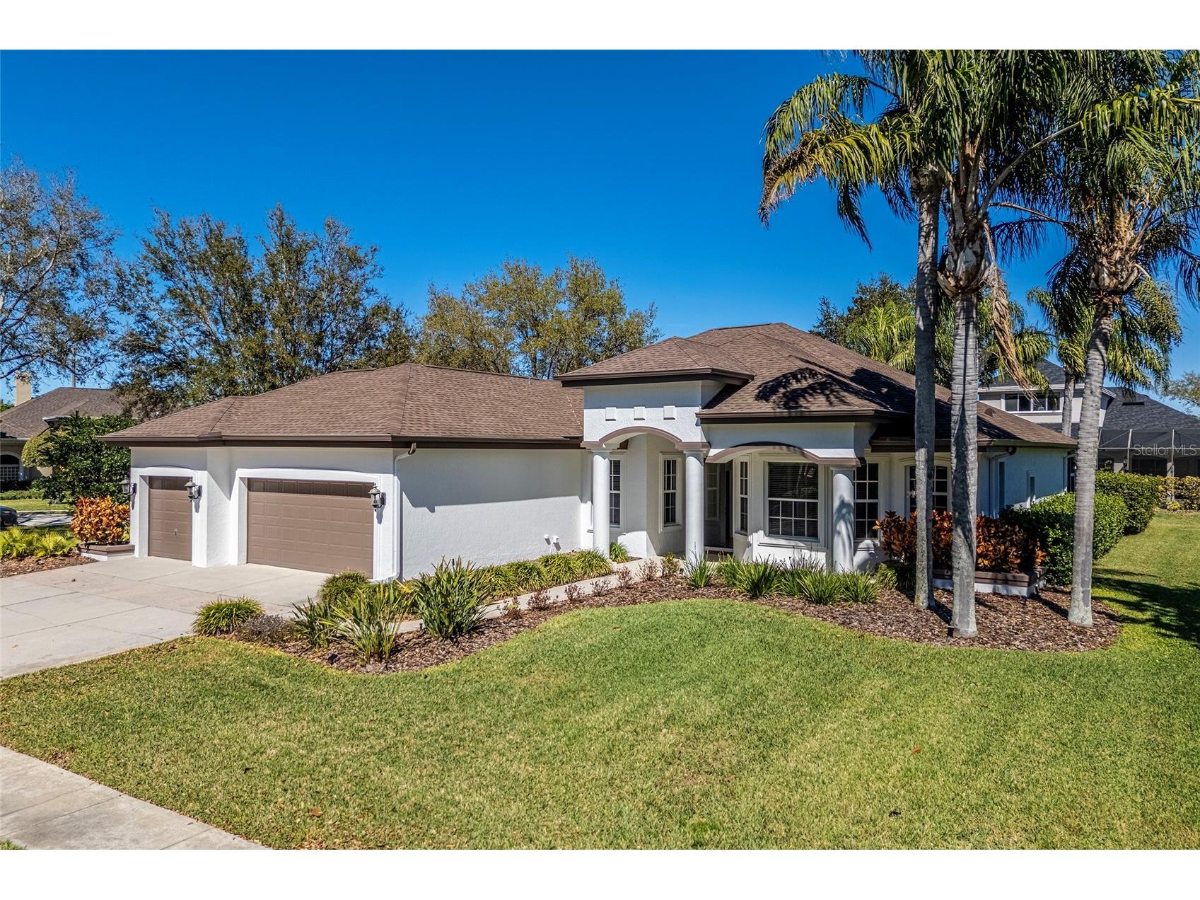 1543 Parilla Circle New Port Richey FL 34655 W7883435 image2