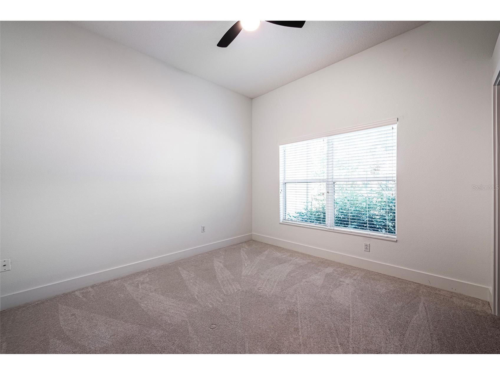1543 Parilla Circle New Port Richey FL 34655 W7883435 image40
