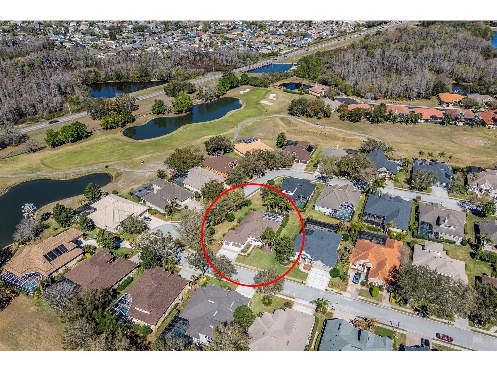 1543 Parilla Circle New Port Richey FL 34655 W7883435 image65