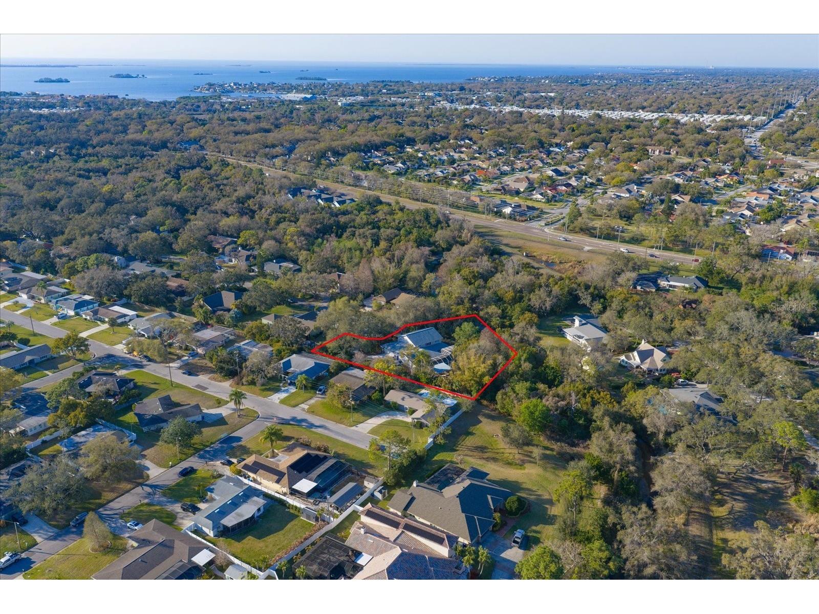 1543 Sturbridge Court Dunedin FL 34698 TB8482426 image4