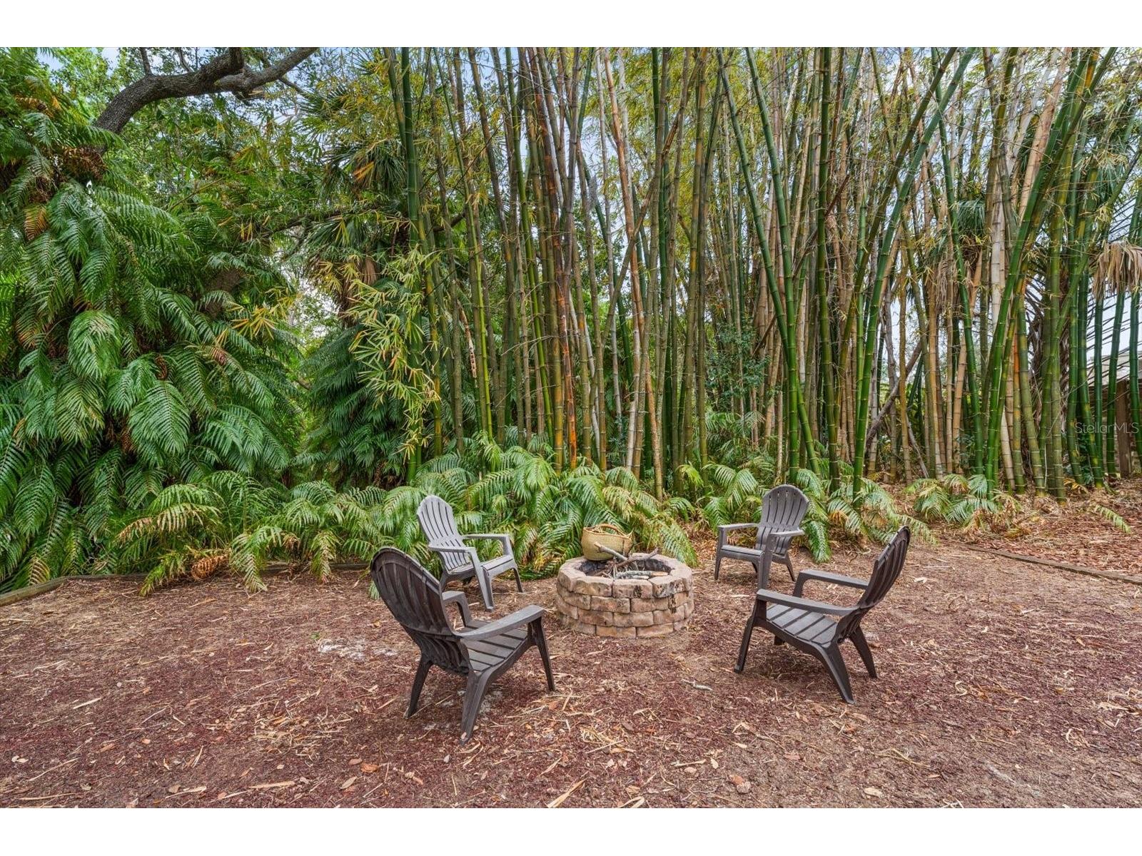 1543 Sturbridge Court Dunedin FL 34698 TB8482426 image82