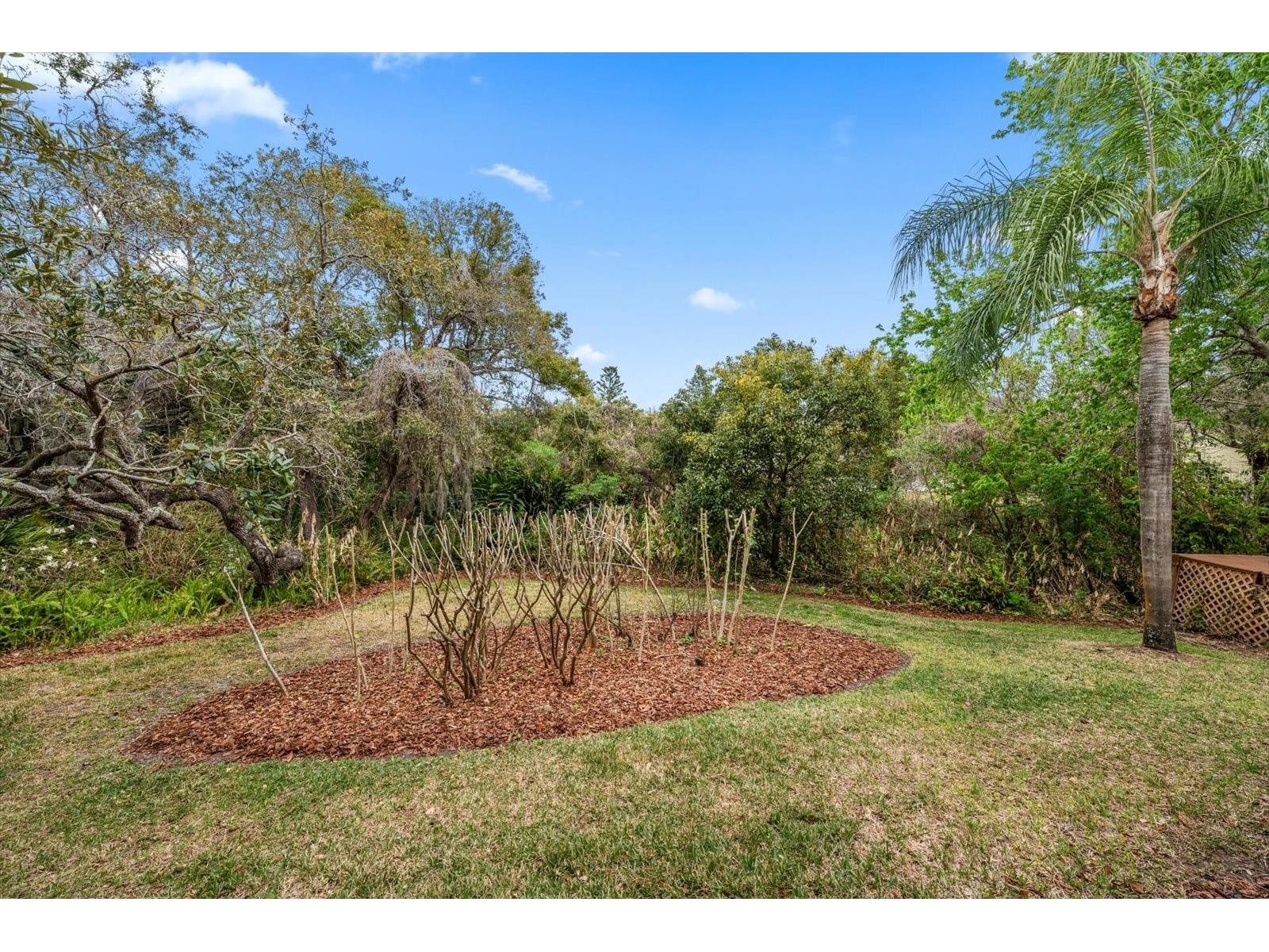 1543 Sturbridge Court Dunedin FL 34698 TB8482426 image84