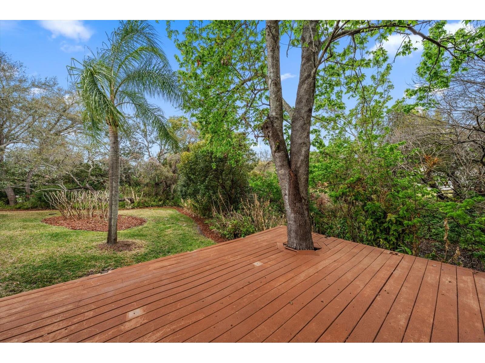 1543 Sturbridge Court Dunedin FL 34698 TB8482426 image85