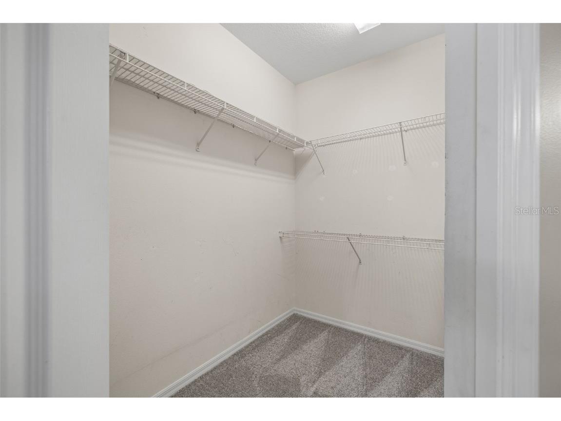 1543 Waterwood Drive Lutz FL 33559 TB8453902 image36