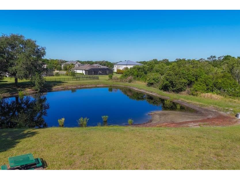 15430 29th Lane E Parrish FL 34219 O6328805 image47