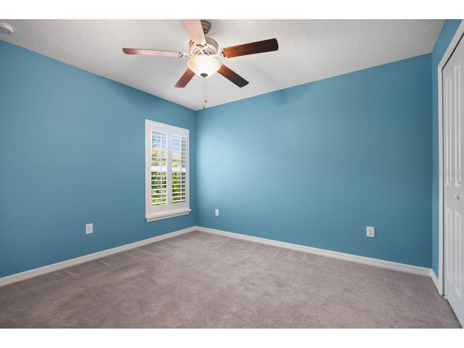 15430 Miller Creek Drive Sun City Center FL 33573 TB8523478 image22