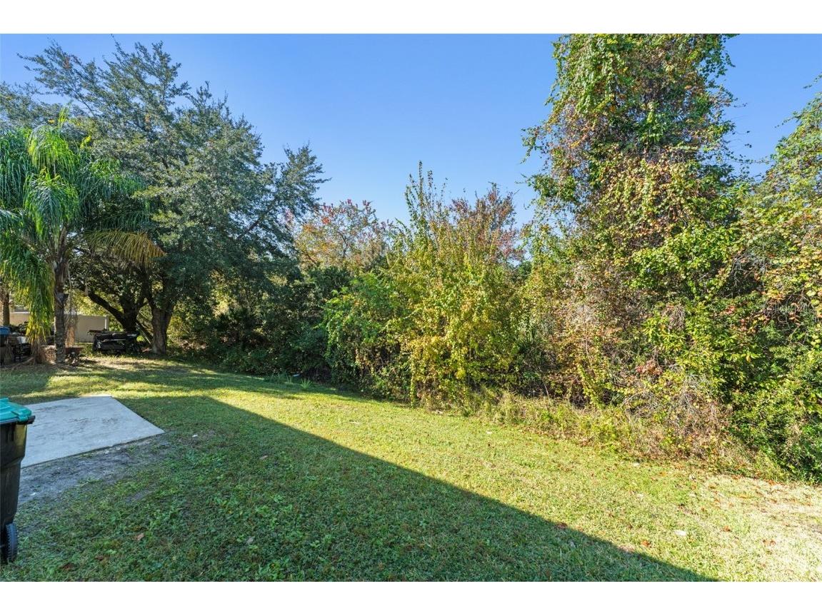 15431 Perdido Drive Orlando FL 32828 O6362296 image36